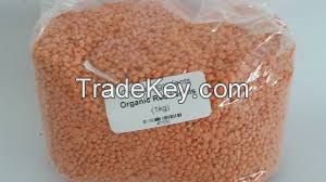 Red Lentils, Red Split Lentils, Red Whole Lentils, Brown Lentils