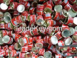 canned tomato paste