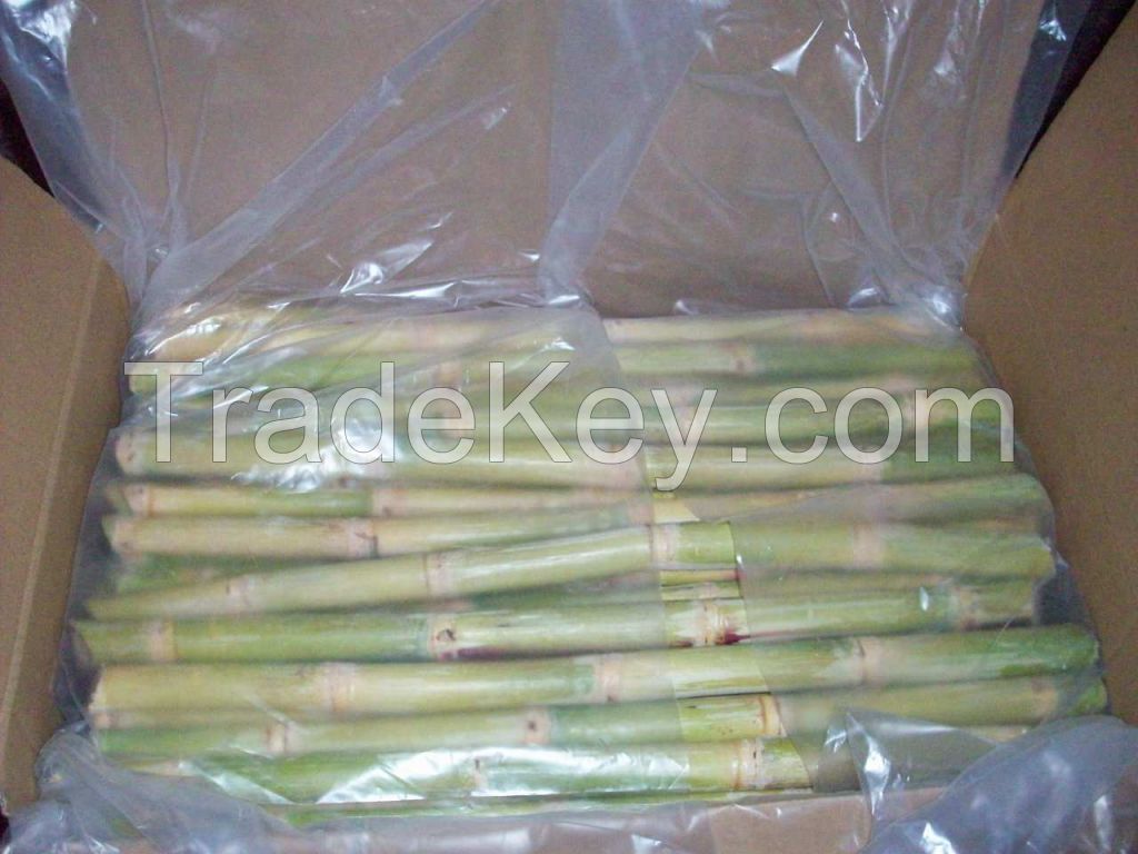 Fresh Raw Sugarcane