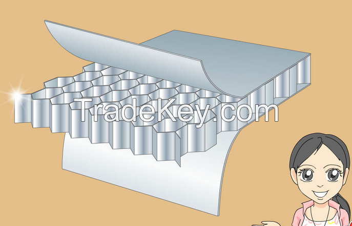 Aluminum honeycomb plate