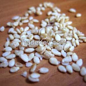 100% high quality white Sesam seed