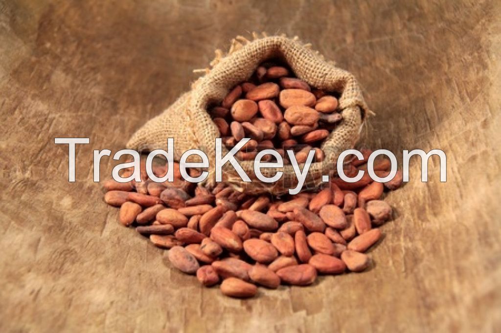 Sell 100% Quality Cocoa Beans Grade A