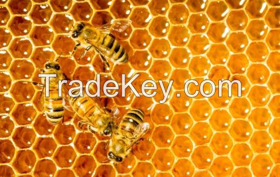 100% NATURAL POLYFLORAL BEE HONEY