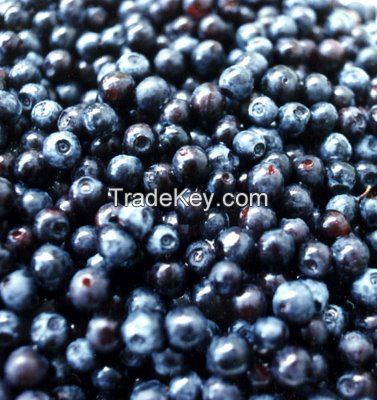 Frozen Cultivated Blueberry