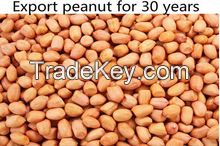 peanut kernel shell export of agriculture products