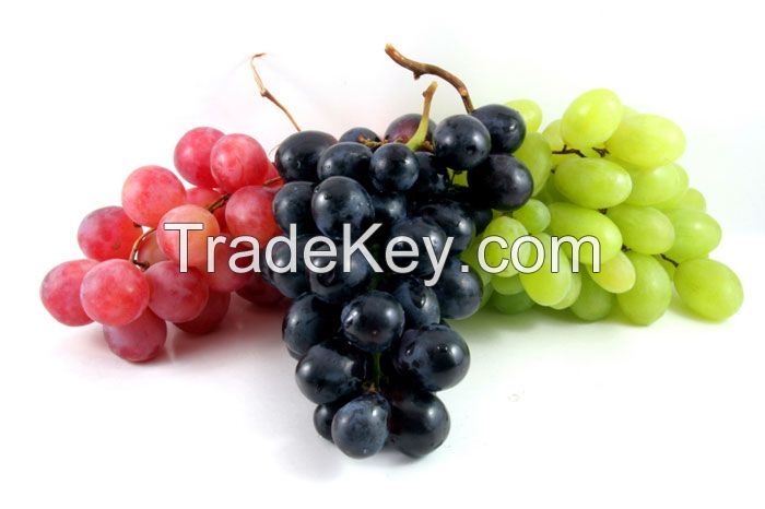 Orchard fresh attractive grapes