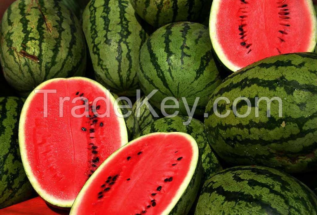 Round Fresh Watermelon For Sale