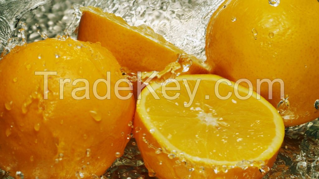 Fresh Citrus Fruit Juicy Oranges