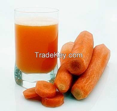 carrot oil for skin lightening on sale with good quality