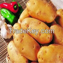 2015 wholesale price for large frozen yellow potato