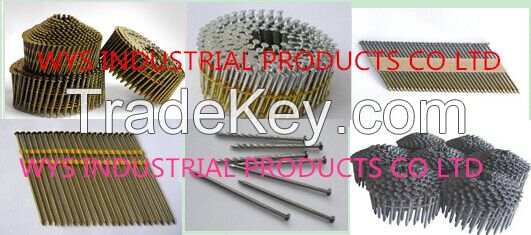 wire collated coil nail, plastic/paper strip nail, pallet coil nail, stainless steel nail, lost /domed head nail, copper nail