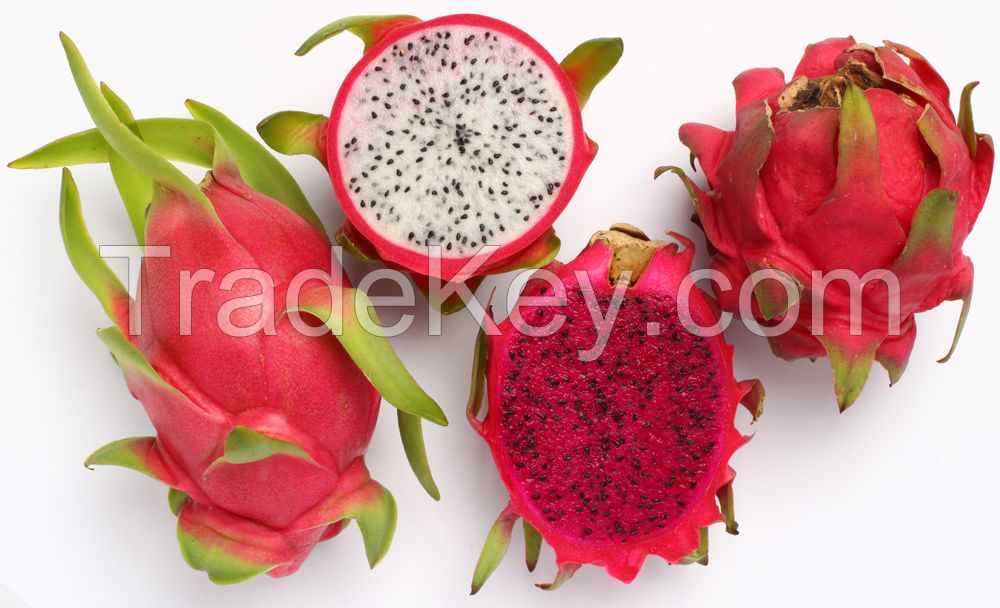 FRESH DRAGON FRUIT