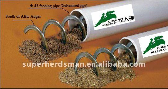 auger automatic chicken feeding equipment