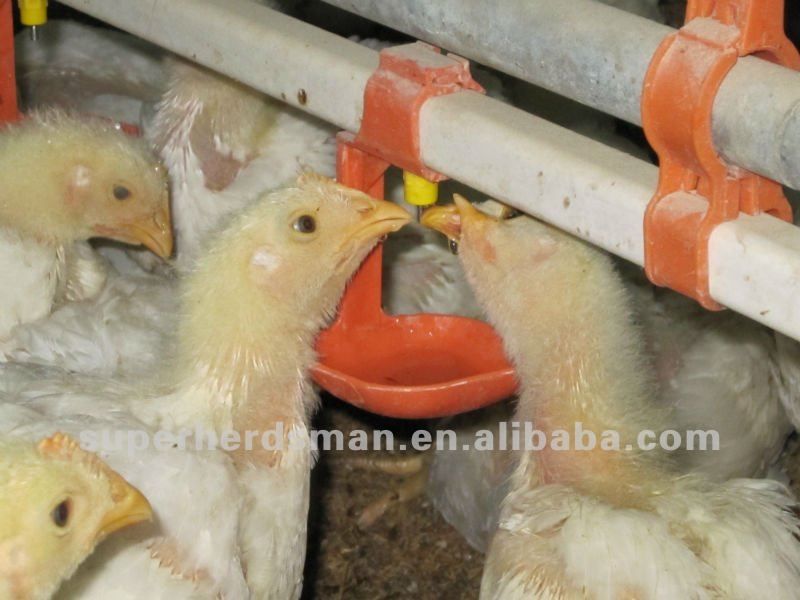 automatic chicken drinker for poultry house