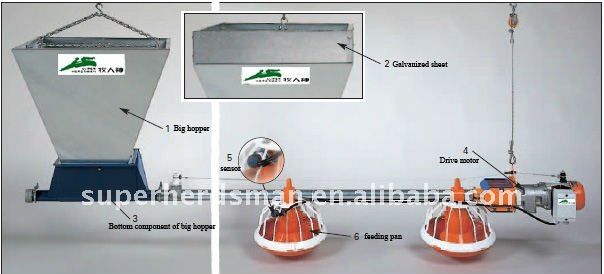 chicken farm equipment for broiler with feedstuff bin