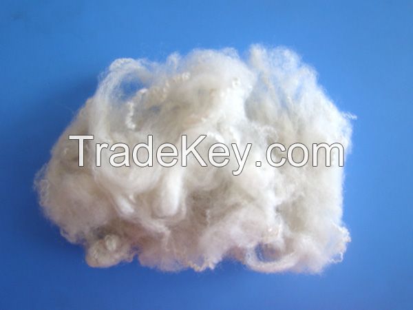 Polyester Staple Fibre