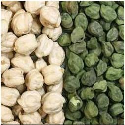 Sell finest quality of Indian Chickpeas as most affordable prices.