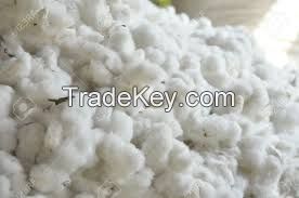 Raw Cotton