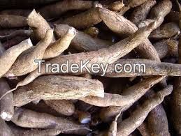 Dried Cassava