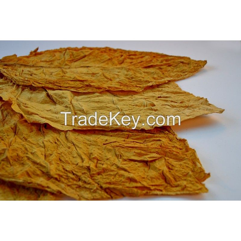 Tobacco Leaves and products