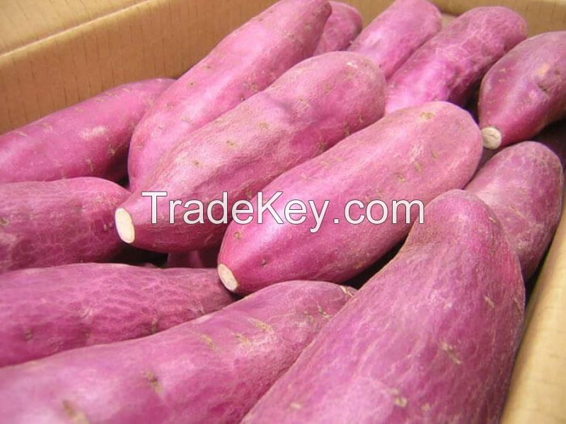 Fresh Sweet Potatoes For Sale