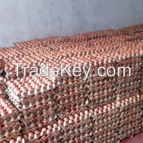 Fresh table brown and white table eggs, hatching egg