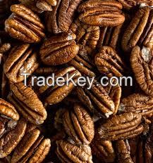 Pecan Nuts high quality pecans