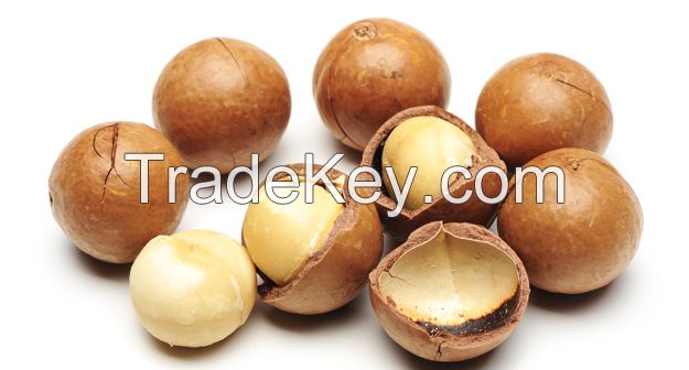 Organic Macadamia Nuts/ Macadamia Nuts