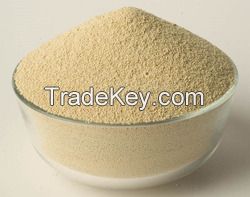 Soybean Meal