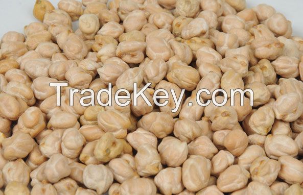kabuli chickpeas 12mm for sale