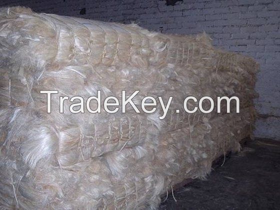 Sundried Natural Color Sisal Fiber