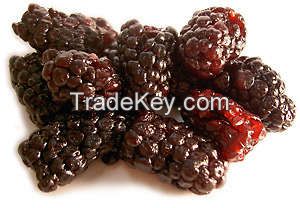 IQF Dried Blackberry Fruit