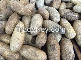 Raphia nuts for sale