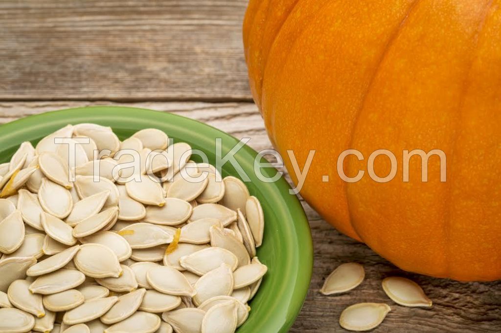 PUMPKIN SEEDS SPECIFICATION