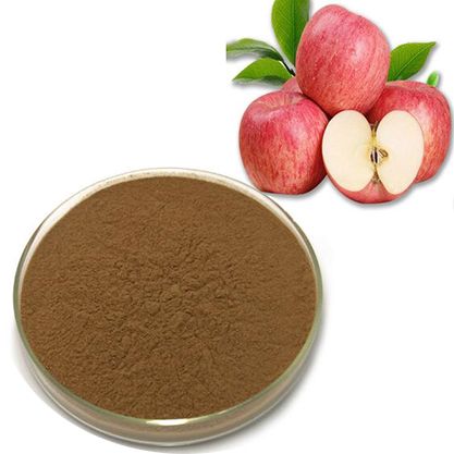 Apple extract ;Apple Polyphenols