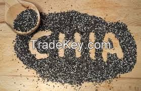 Wholesale Organic Chia Seeds at Affordable Price for Sale