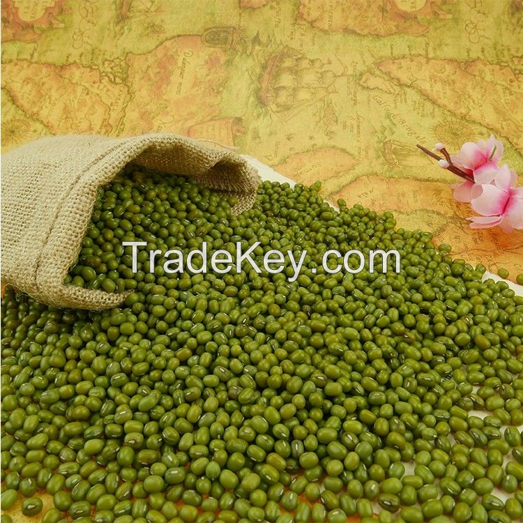 Green Mung Bean 2017 crop supply different size mung beans
