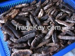 Dry sea cucumber buyer