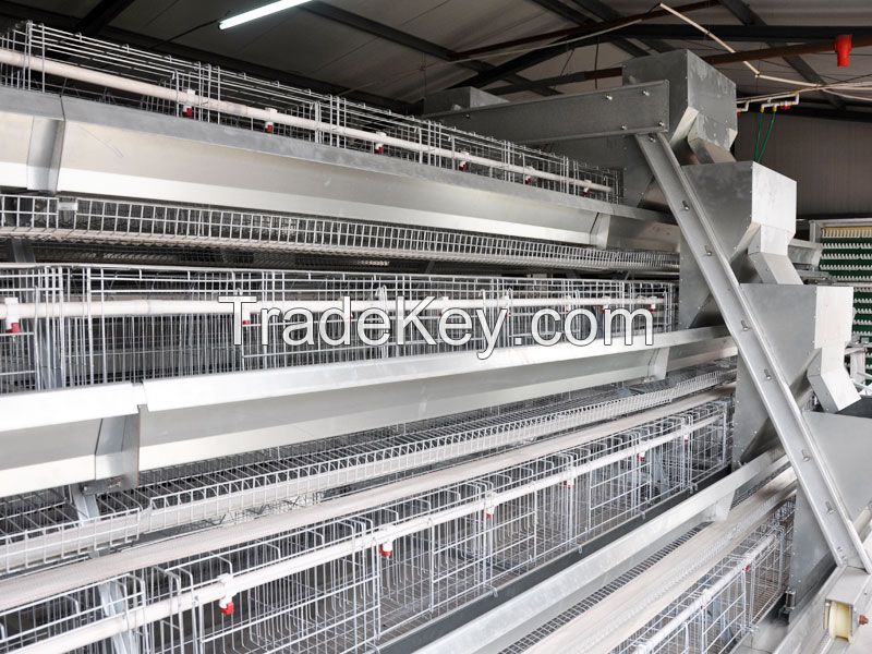Automatic Feeding System for Chicken Farm