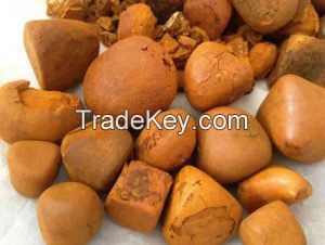 Bovine gallstones / cattle gallstones / cow gallonstones/ ox gallstones