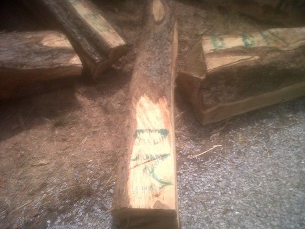 kosso  wood