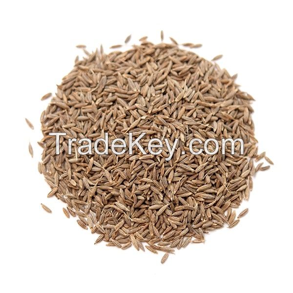 Cumin Seeds