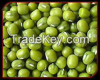 Good Quality, Fresh, Green Mung Beans Now Available