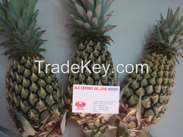 Sell Fresh Pineapple fruit
