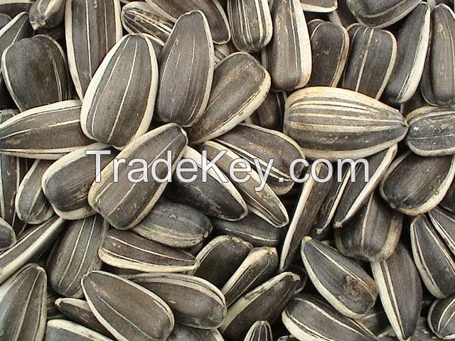 Top grade sunflower seeds /kernel