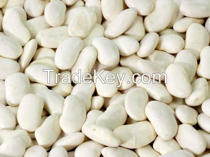 Hulled White Natural Sesame Seed