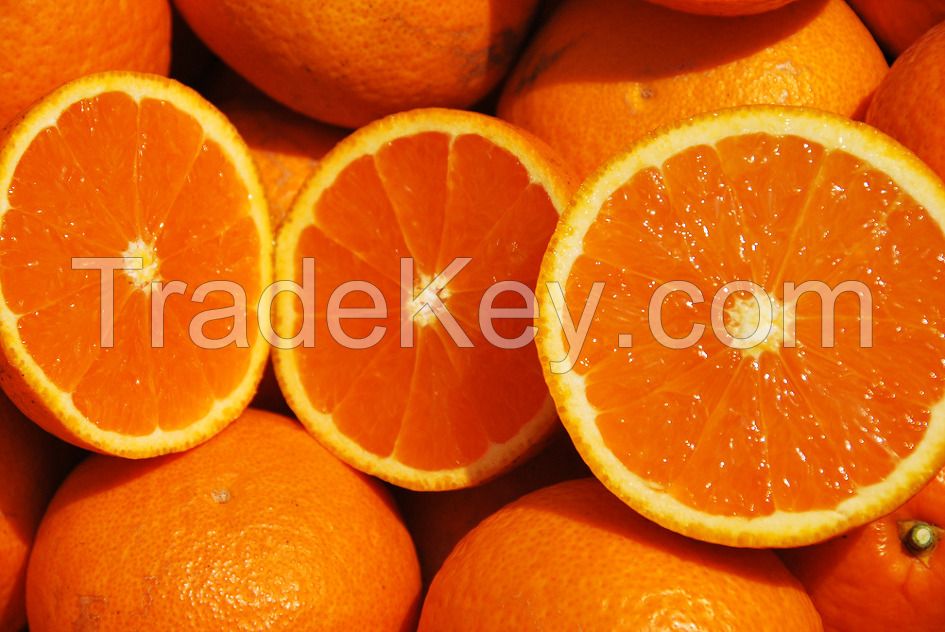 Quality Fresh Oranges