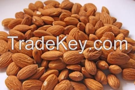 High Quality Organic Raw Almonds Nuts and Kernel Competitive Price