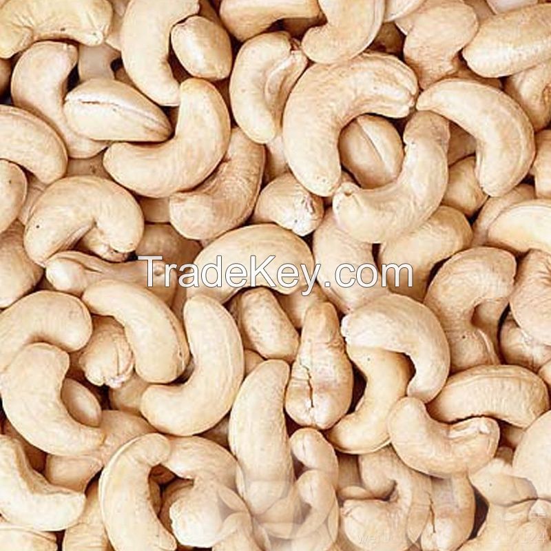 Top Quality Raw and Creamy Salted Cashew Nut