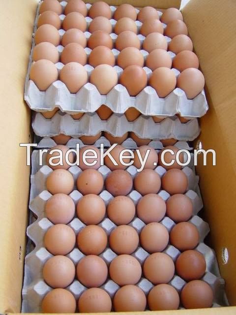 100% Farm Fresh Chicken Table Eggs Brown and White Shell Chicken Eggs
